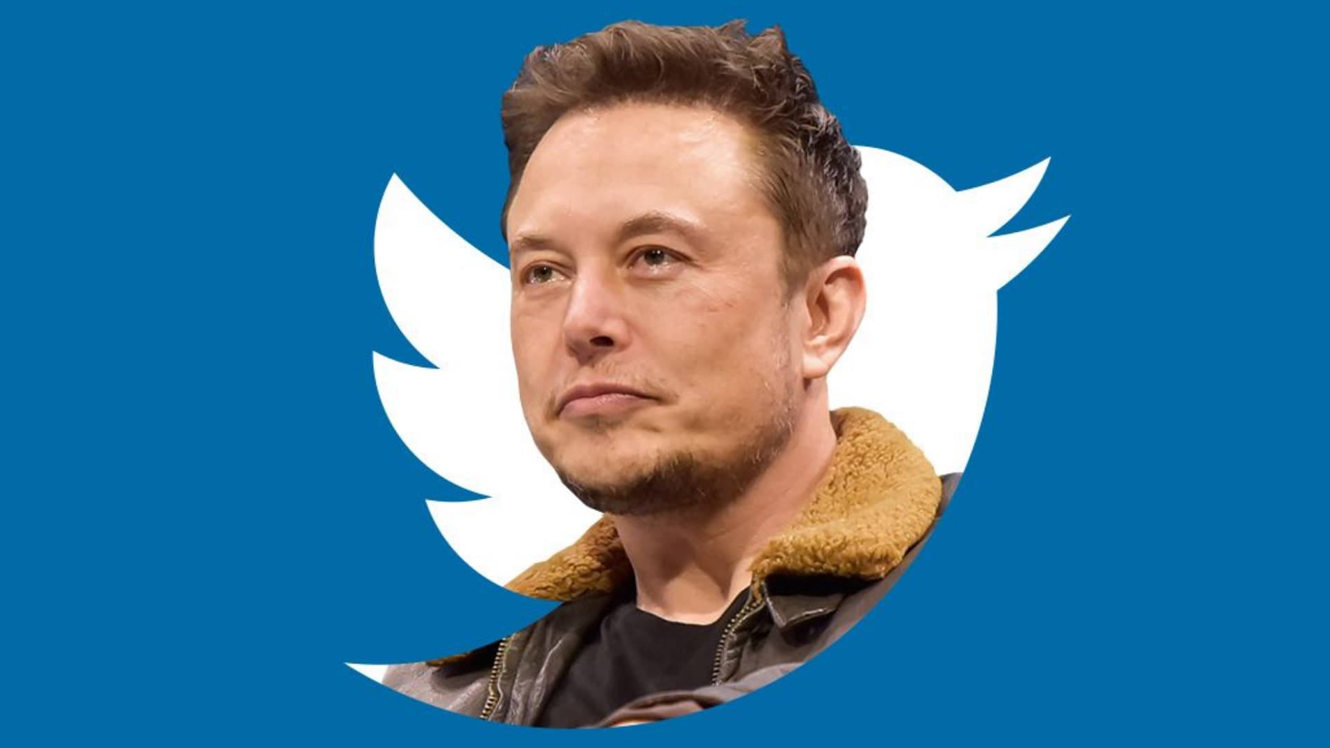 Elon Musk se convierte en el mayor accionista de Twitter InfoGames